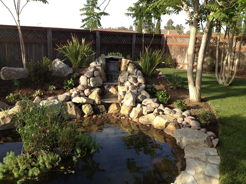 new backyard pond